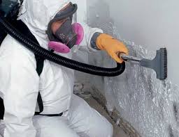  , USA Mold Removal Services Pros